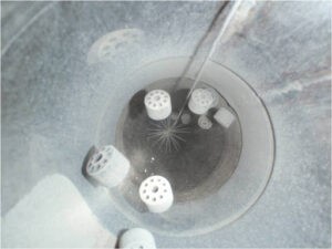 همه چیز درباره کاتالیست هندلینگ 4 Picture1